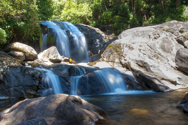 Diese Aufnahme Wurde Munnar Gebirge Südindischen Bundesstaat Kerala Januar 2015 — Stockfoto