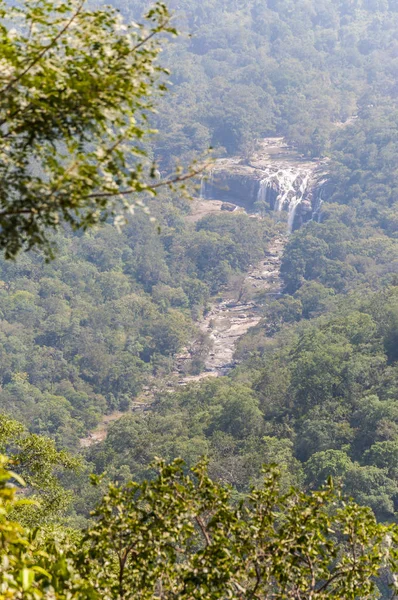 Diese Aufnahme Wurde Munnar Gebirge Südindischen Bundesstaat Kerala Januar 2015 — Stockfoto