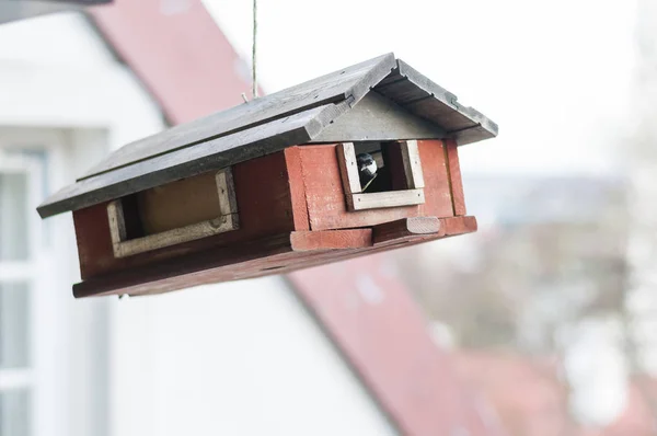 シジュウカラ鳥の小さな木造の伝統的な巣箱をぶら下げから外を見て — ストック写真