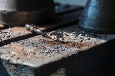Alman mühendislik firması bir elektrik motoru gücünü dünyanın ilk güç aracı geliştirmek için el ile bir matkap ile kombine.
