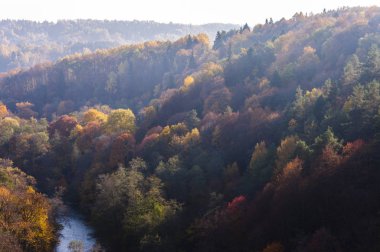 Sonbahar sezonu veya Milli Parkı ormandaki. Hint yaz