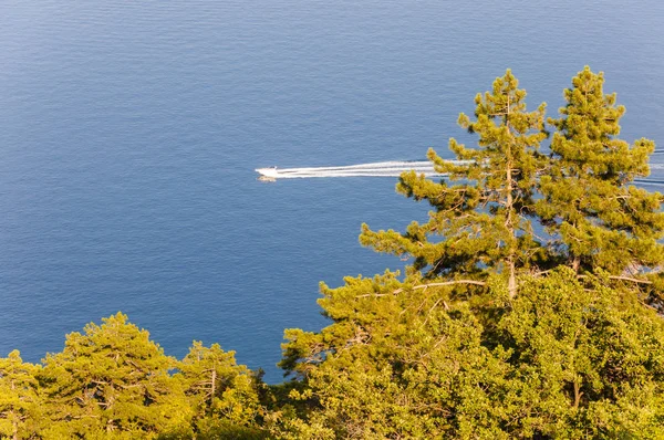 Sea Boats Routes Mountains Pine Trees Amazing Istria Croatia — Stock Photo, Image