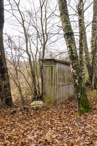 Moss Grown Açık Ahşap Tuvalet Kırsal Terk Edilmiş Litvanyalı Köyü — Stok fotoğraf