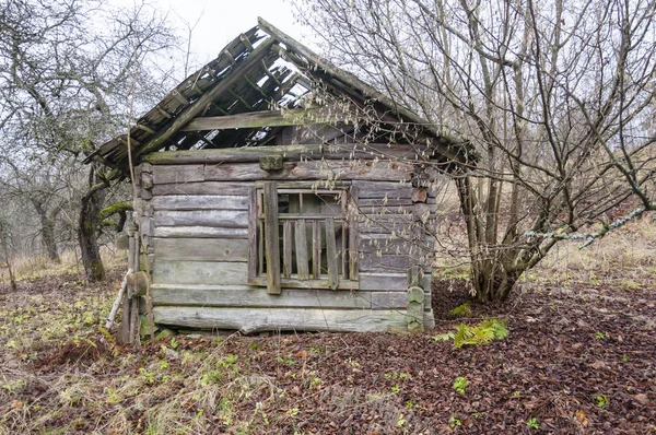 Moss Crecido Demolido Ruinas Casa Pueblo Lituano — Foto de Stock