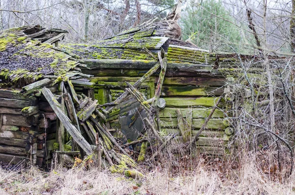 Moss-grown demolished house ruins in Lithuanian village.