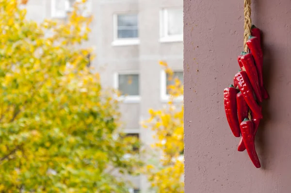 Vibrant interior decor elements hanging on painted concrete wall on balcony