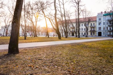 Vilnius, Litvanya - 17 Mart 2012: Sunset T. Vrublevskio Vilnius Litvanya sokak rahat Old Town Park'ta erken ilkbaharda ağaçların arasından ışık.