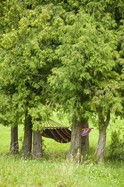 Hamak Ağaçlar Kron Altında Asılı Dinlenmek Için Mükemmel Bir Yer — Stok fotoğraf