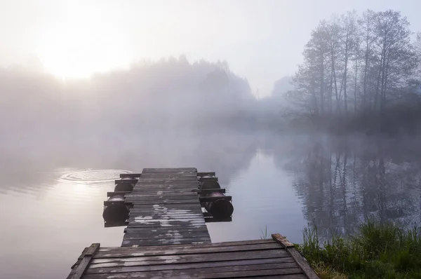 Ochtend Zonsopgang Mist Boven Het Bos Meer Pier — Stockfoto