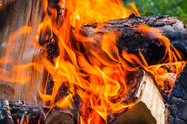 Gorący Płomień Żywy Spalania Drewna Opałowego — Zdjęcie stockowe