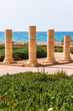 Caesarea, İsrail - 22 Mayıs 2012: Yürüyüş yolları aracılığıyla İsrail doğal Caesarea Parkı bir parçası olarak antik sütunlar parçalarıyla canlı çimenli çimenler. Akdeniz arka planda.