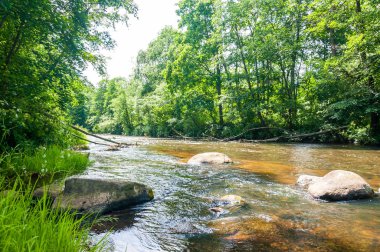 Kayalar ve yolun ormanın içinden akan nehrin buzlu
