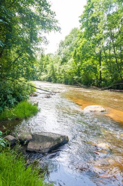 Kayalar ve yolun ormanın içinden akan nehrin buzlu