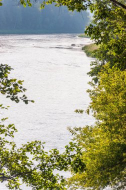 Kıyı ağaçlar dallar üzerinden akan nehir akışlarında güneşli görünümü