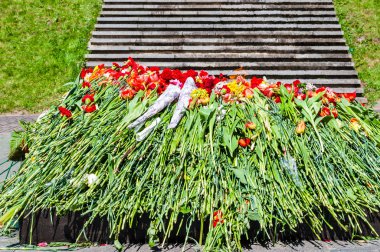 Canlı çiçekler sonsuz alev anıt onuruna iki dünya savaşında zafer günü Mayıs dokuzuncu üzerinde askeri mezarlığı üzerinde yakınındaki her yıl Vilnius, döşeme Grup