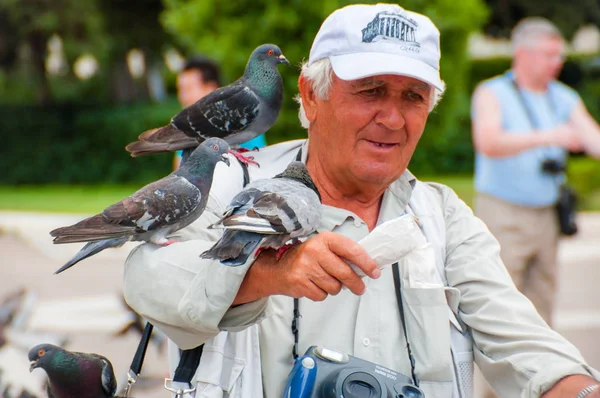 Athens Greece June 2013 Doves Pigeons Birds Sitting Elderly Tourist — Stock Photo, Image