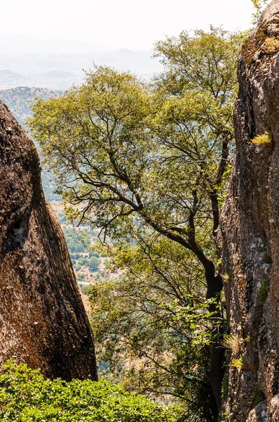 Vista Panorámica Del Paisaje Las Formaciones Rocosas Meteora Acantilados Picos —  Fotos de Stock