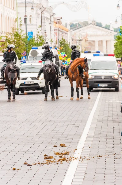 Vilnius Lituania Julio 2013 Fuerzas Policiales Armadas Montadas Comienzo Del — Foto de Stock