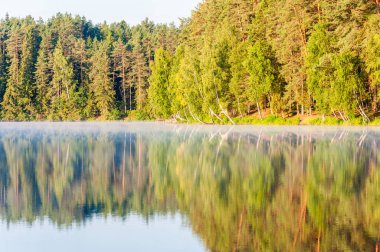 Herdem yeşil çam ve ladin kozalaklı ve huş ağacı da şaşırtıcı gündoğumu, göl yüzeyinde onun yansıması ile orman ağaçları