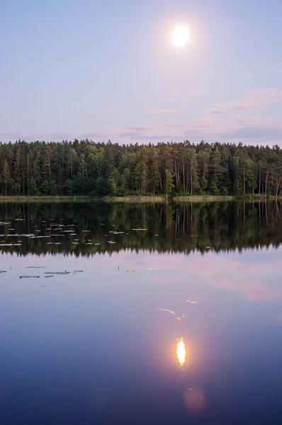 Scenic Lake Coast Surrounded Green Forest Early Moon Sky — Stock Photo, Image