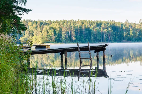 Oude Houten Pier Met Ladder Mistig Lake Met Geweldig Bos — Stockfoto