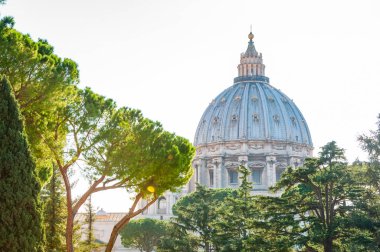 Vatikan, Rome, İtalya - 16 Kasım 2018: Kubbe Papa'nın St. Peter Bazilikası Vatikan ya da sade bir şekilde St. Peter's Bazilikası'nın arka bahçesinde ağaçların arasından. Kubbe ve ağaçlar aydınlatan güneş ışığı