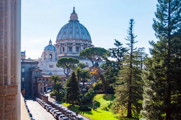 バチカンのサンピエトロの教皇のバシリカや裏庭から単にサンピエトロ大聖堂のドーム ガーデン木や芝生の草の完全であるバチカン市国 ローマ イタリア 2018 — ストック写真