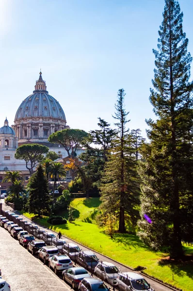バチカンのサンピエトロの教皇のバシリカや裏庭から単にサンピエトロ大聖堂のドーム ガーデン木や芝生の草の完全であるバチカン市国 ローマ イタリア 2018 — ストック写真
