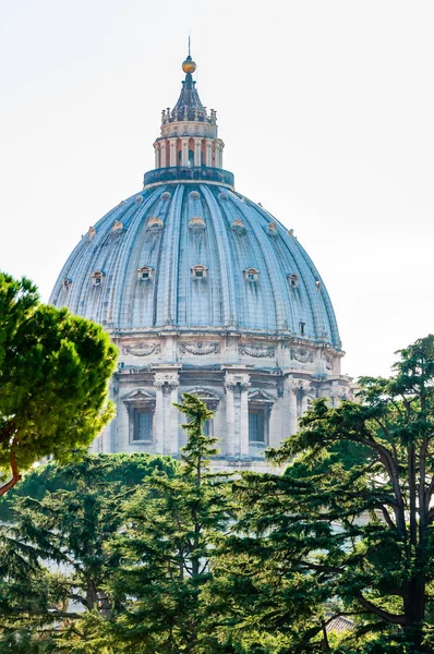 バチカン市国 ローマ イタリア 2018 バチカンのサンピエトロの教皇のバシリカや裏庭の木を単にサンピエトロ大聖堂のドーム太陽光照明ドームと木 — ストック写真