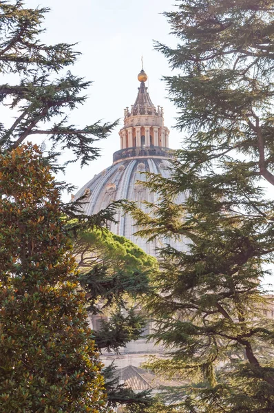 Vaticano Roma Italia Novembre 2018 Cupola Della Basilica Papale San — Foto Stock