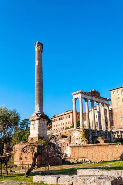 Roma Italia Noviembre 2018 Vista Sobre Columna Focas Templo Saturno — Foto de Stock