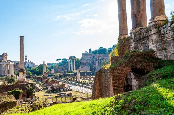 Roma Italia Noviembre 2018 Columna Focas Otras Atracciones Históricas Famosas — Foto de Stock
