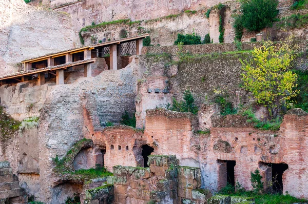 Ruínas Romanas Antigas Restos Palácios Edifícios Famosos Monte Palatino Roma — Fotografia de Stock