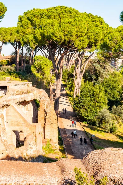 Roma, İtalya - 17 Kasım 2018: Domus Severiana Roma'daki Palatine Tepesi'nde İmparatorluk sarayları için son uzantısı için verilen modern addır