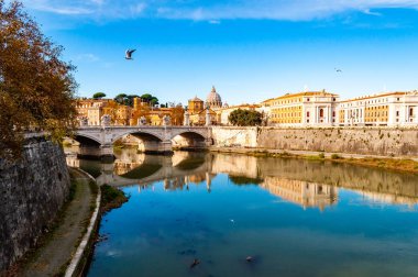 Tiber Nehri akarsu, Ponte Vittorio Emanuele II Köprüsü, martılar ve Roma cityscape görünümü ünlü St. Peter kubbe ile arka plan üzerinde uçan