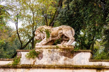 Rome, İtalya - 19 Kasım 2018: Antik yosunlu büyümüş aslan taş heykel heykeli Borghese Park Villa Borghese giderken