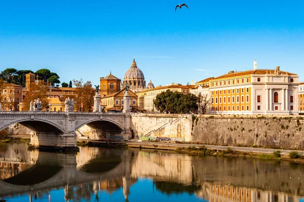 テヴェレ川ストリーム ポンテ ヴィットリオ エマヌエーレ 飛行のカモメとローマの街並みを背景に有名なサンピエトロ寺院のドームを表示します — ストック写真