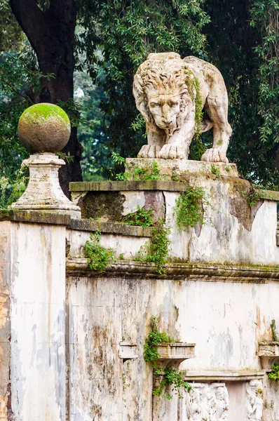 Rom Italien November 2018 Gamla Mossiga Igenvuxna Lion Sten Skulptur — Stockfoto