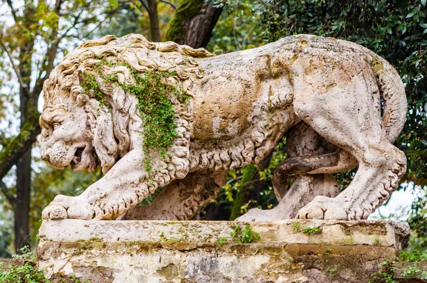 Rome Italie Novembre 2018 Statue Ancienne Pierre Lion Recouverte Mousse — Photo