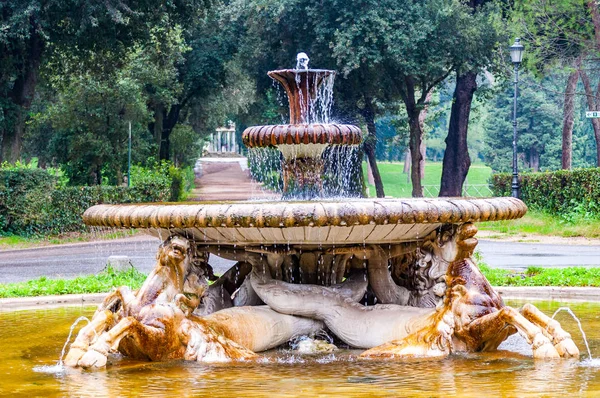 Ρώμη Ιταλία Νοεμβρίου 2018 18Ο Αιώνα Fontana Dei Cavalli Marini — Φωτογραφία Αρχείου