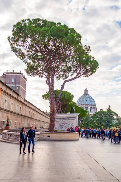 Vaticano Roma Italia Noviembre 2018 Turistas Pine Patio Aire Libre — Foto de Stock