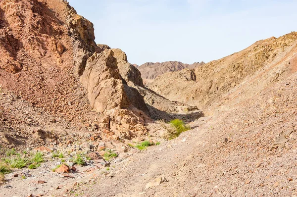 Route Wandelpad Bijgehouden Gele Rode Rotsachtige Landschappen Van Eilat Woestijn — Stockfoto