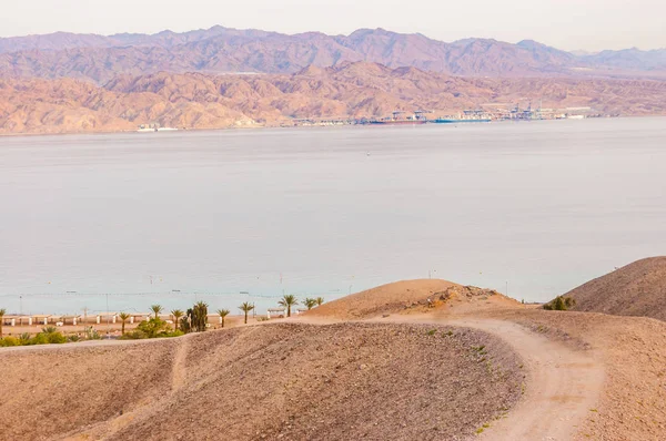 Сенді Вигнутий Ходьбі Шлях Від Пустелі Гори Березі Затоки Червоного — стокове фото