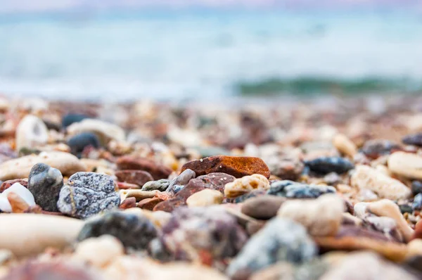 多くの小さな小石石とエイラート イスラエルの紅海のビーチのサンゴ — ストック写真