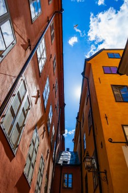 Aşağıdan Gamla stan, eski kasaba martı çatıları üzerinde mavi gökyüzünde uçan ile Stokholm bağlı sarı turuncu kırmızı binalar cephe ile rahat dar Ortaçağ Caddesi üzerinde göster