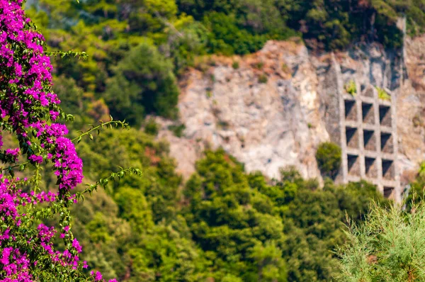 Floração ramo Bougainvillea, apoiando a construção com múltiplas formas quadradas segurando penhasco rochoso coberto e impede a queda de rochas para a área da cidade em Monterosso Al Mare, Cinque Terre — Fotografia de Stock
