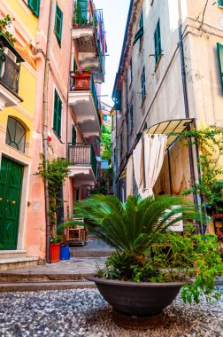 Bir sokak dolusu dekorasyon ve diğer doğa unsurlarıyla dolu bir yerde palmiyeler yetişiyor. Küçük restoranlar ve dükkanlar Monterosso Al Mare, Cinque Terre 'deki şehir hayatı hakkında hikayeler anlatıyor.