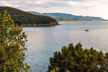 Tuscany 'nin Grosseto ilindeki yeşil ormanlarla çevrili Tırren Denizi koyundaki Cala Violina plajının manzaralı manzarası yakınında yüzen iki yaht.