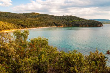 Cala Violina sahilindeki manzara manzarası ve Tuscany 'nin Grosseto ilindeki yeşil ormanlarla çevrili Tırren Denizi.