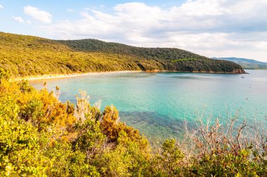 Cala Violina sahilindeki manzara manzarası ve Tuscany 'nin Grosseto ilindeki yeşil ormanlarla çevrili Tırren Denizi.